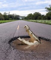 Банкрутство в Польщі