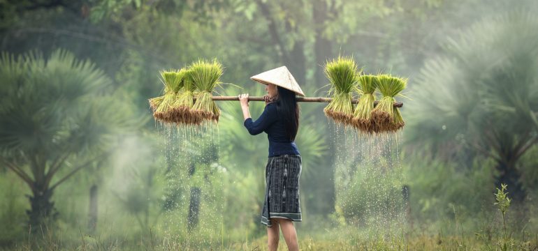 Трудове право Польщі 2019