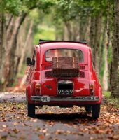 Зміни у дорожньому праві 2022